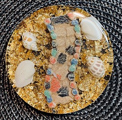 Sea Shell Coaster $10.00