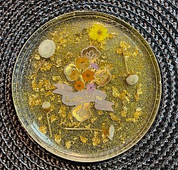 Gold Coaster $10.00